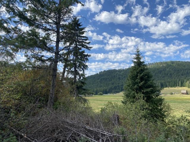 3012 Deep Lake Road Colville, WA 99114 - Photo 12 of 17 Gallery Image 12