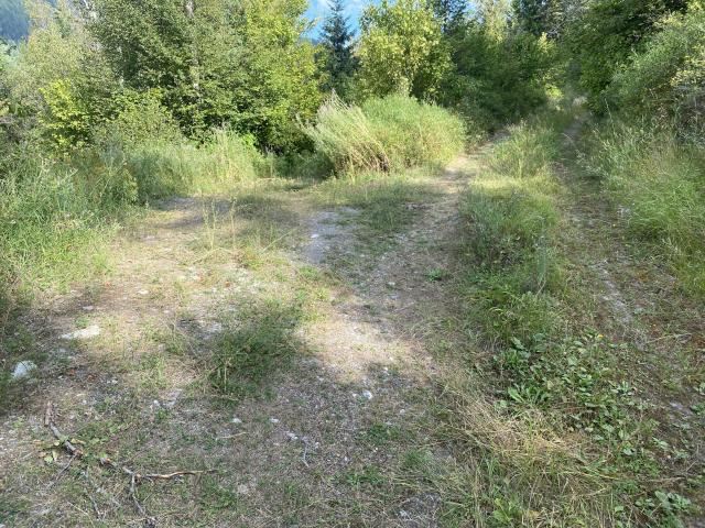 3012 Deep Lake Road Colville, WA 99114 - Photo 14 of 17 Gallery Image 14