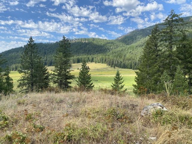 3012 Deep Lake Road Colville, WA 99114 - Photo 3 of 17 Gallery Image 3