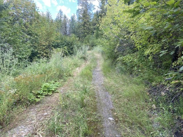 3012 Deep Lake Road Colville, WA 99114 - Photo 4 of 17 Gallery Image 4