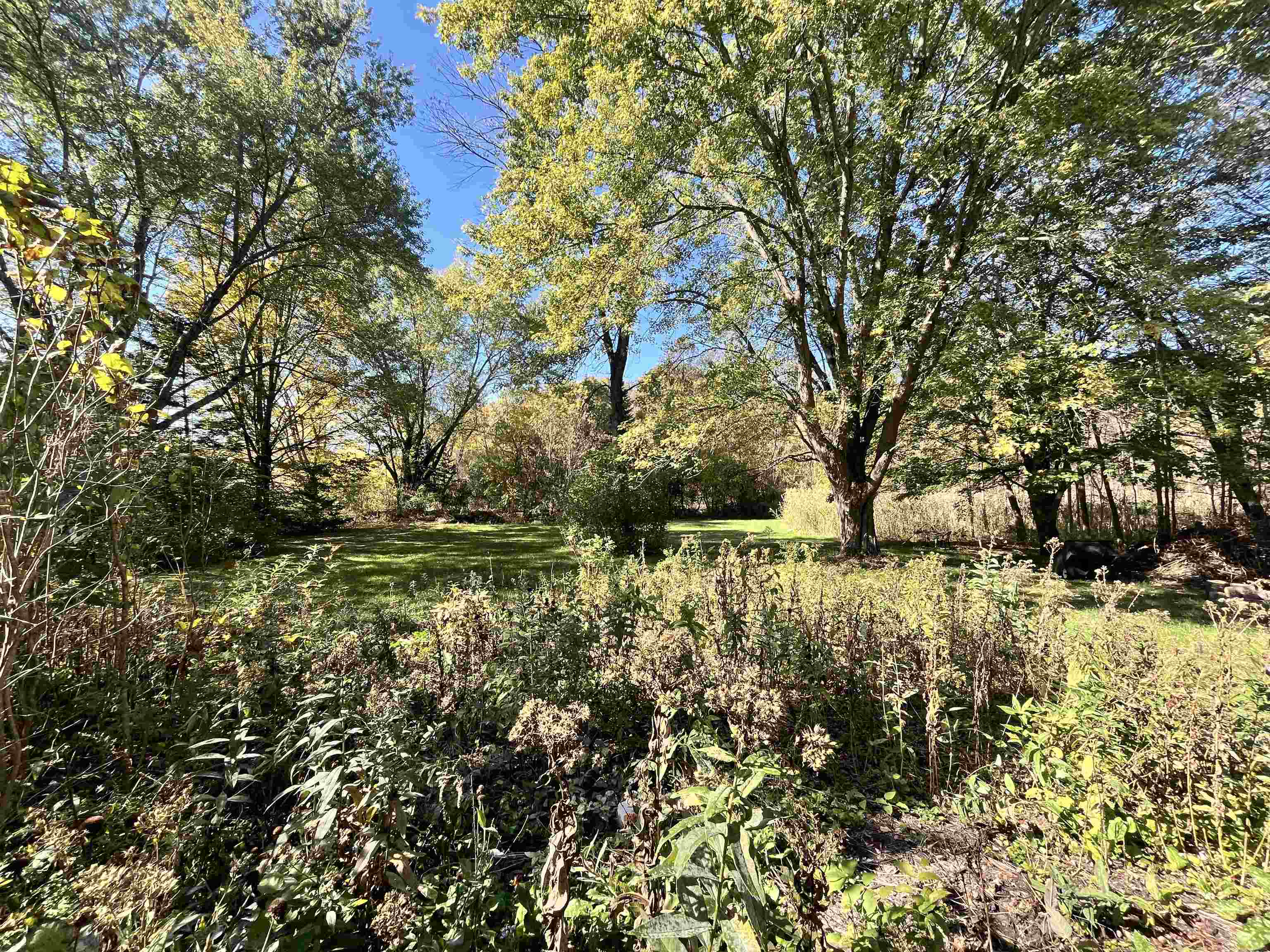 927 Carver Street Brandon, VT 05733 - Photo 32 of 39