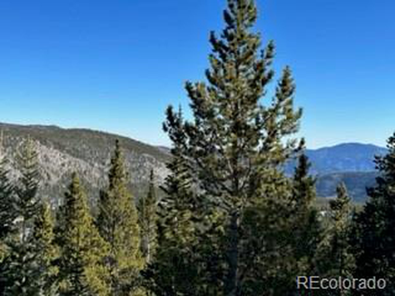 504 Hilltop Road Idaho Springs, CO 80452 - Photo 2 of 9 Views