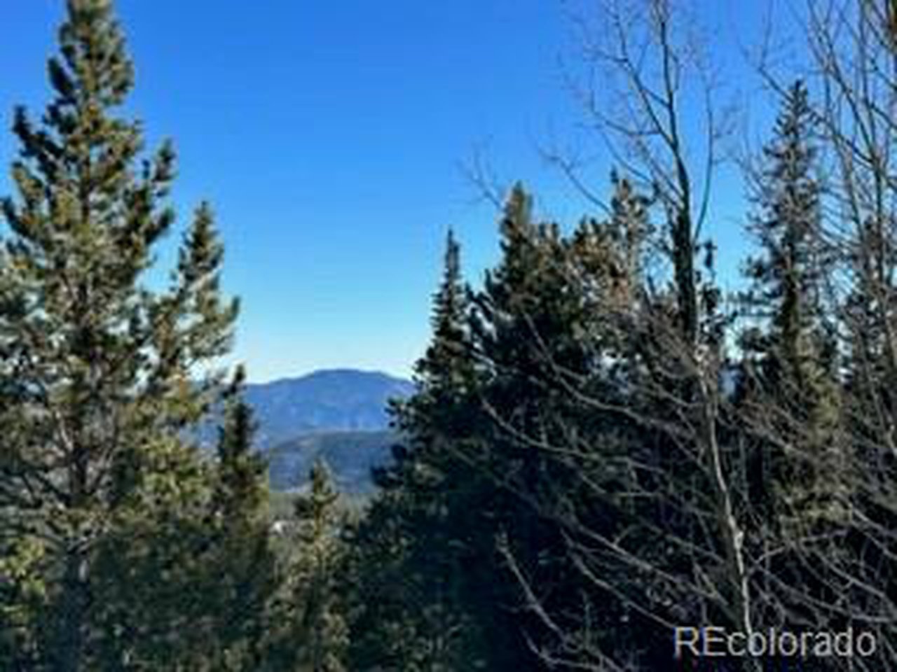 504 Hilltop Road Idaho Springs, CO 80452 - Photo 4 of 9 ...and more views!