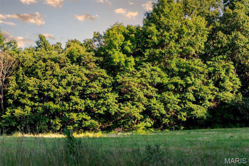 575 Schleeper Hollow Road Hardin, IL 62047 - Photo 44 of 61