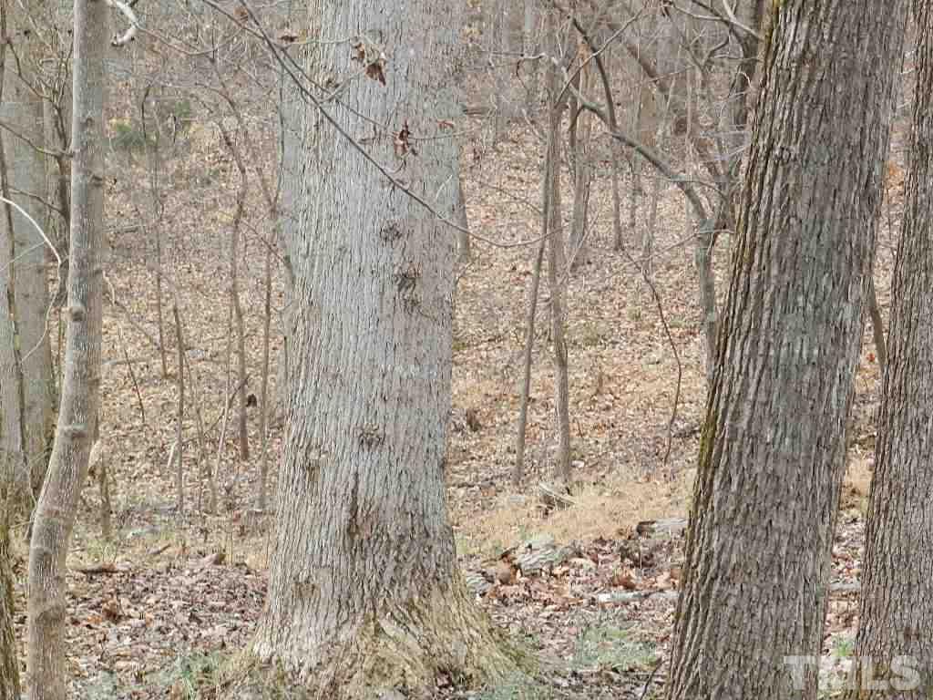 0 Apple Mill Road Efland, NC 27243 - Photo 2 of 8 Gallery Image 2