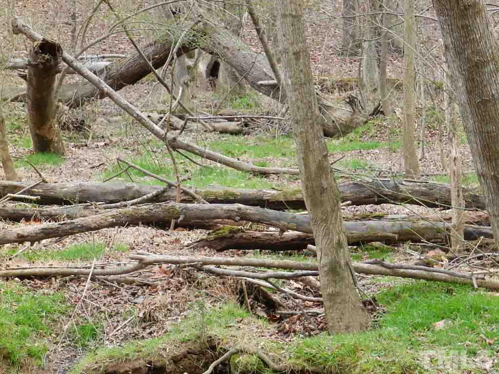 0 Apple Mill Road Efland, NC 27243 - Photo 3 of 8 Gallery Image 3