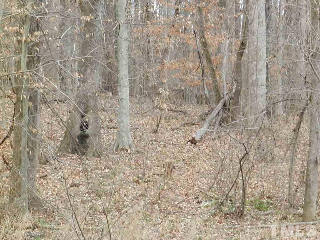 0 Apple Mill Road Efland, NC 27243 - Photo 4 of 8 Gallery Image 4