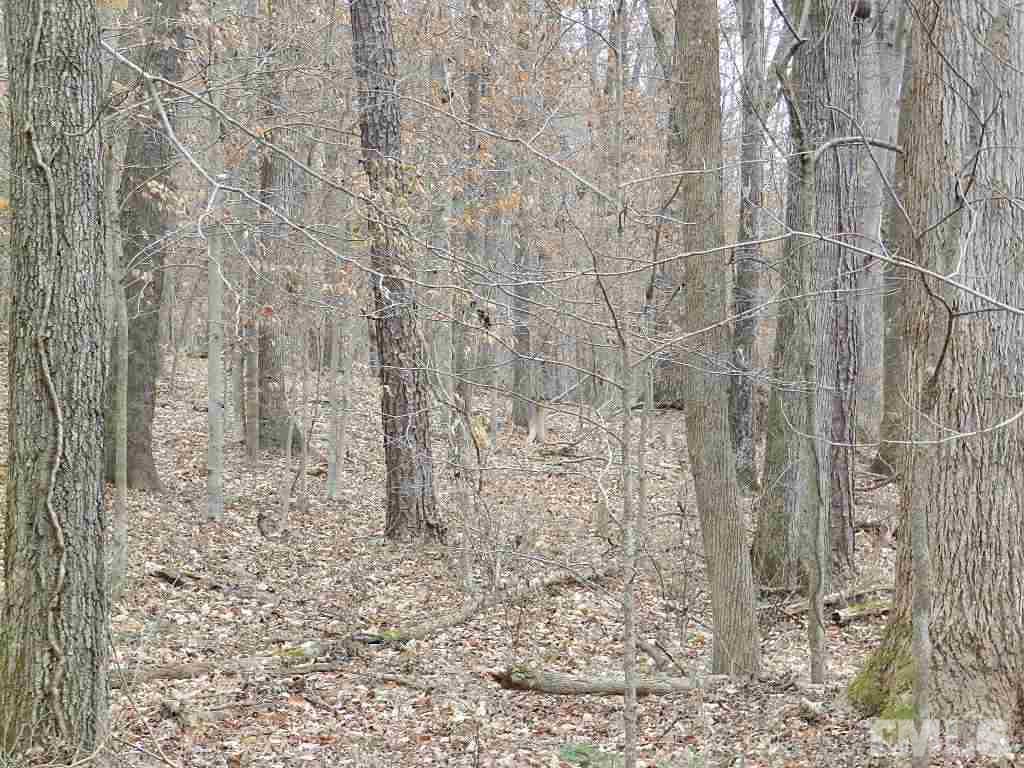 0 Apple Mill Road Efland, NC 27243 - Photo 5 of 8 Gallery Image 5