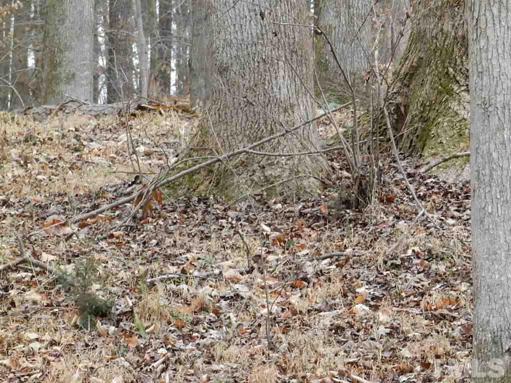 0 Apple Mill Road Efland, NC 27243 - Photo 6 of 8 Gallery Image 6