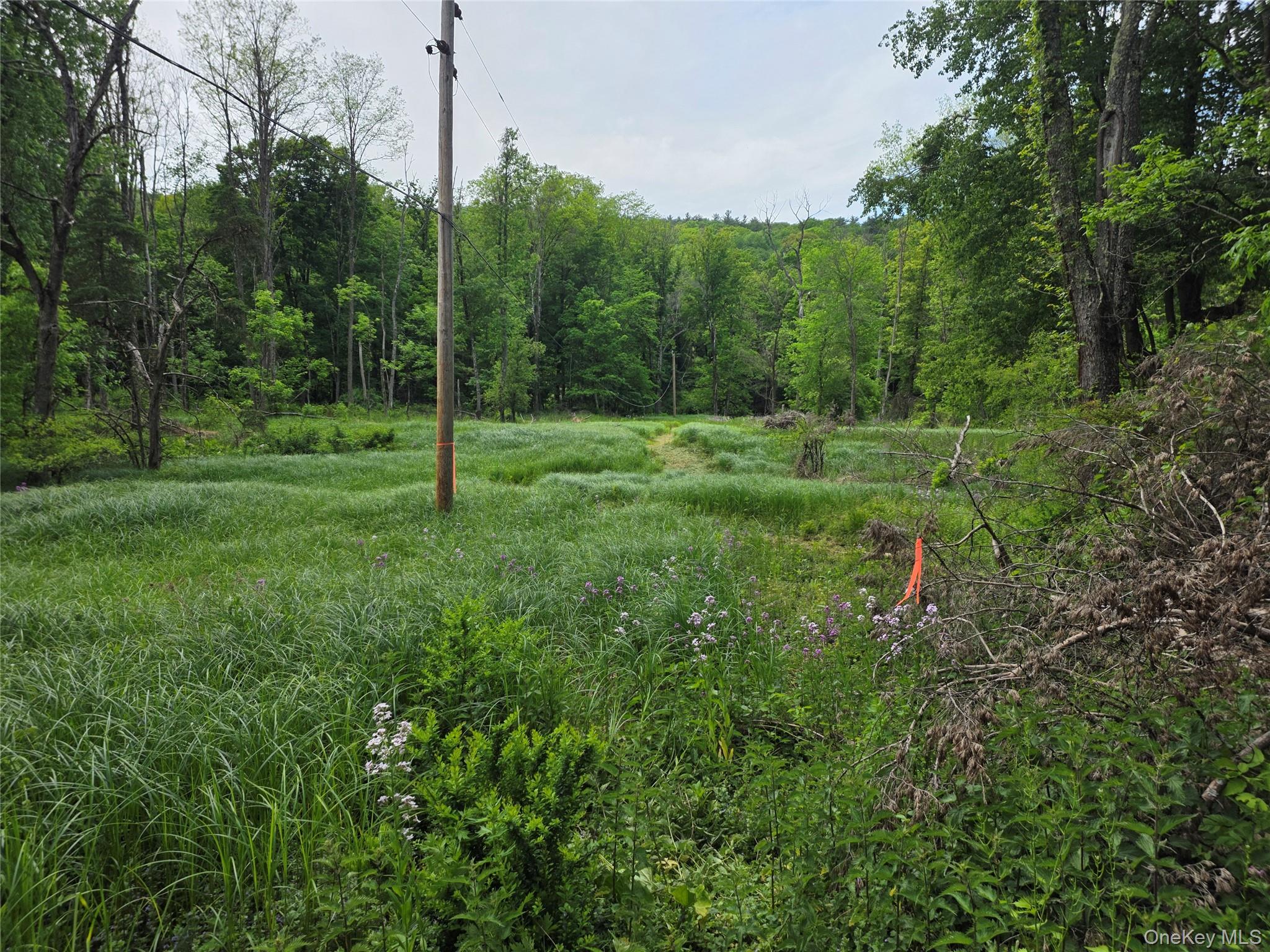 Cr-2 Road Red Hook, NY 12571 - Photo 2 of 14