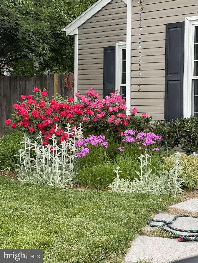 9348 Burke Road Burke, VA 22015 - Photo 26 of 55 Color that comes back year after year