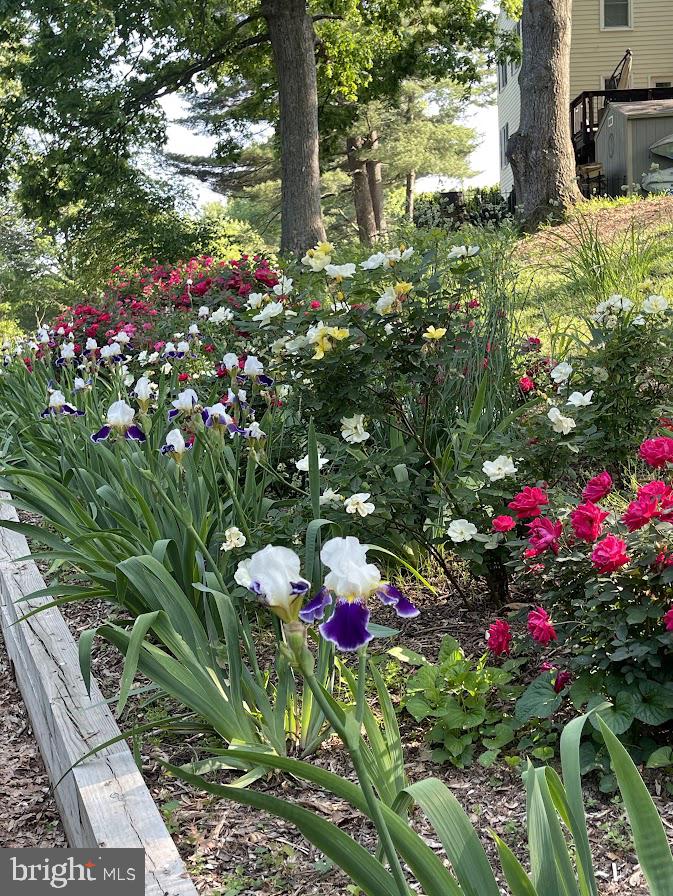9348 Burke Road Burke, VA 22015 - Photo 28 of 55 Gallery Image 28