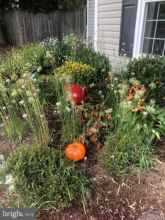 9348 Burke Road Burke, VA 22015 - Photo 37 of 55 Gallery Image 37