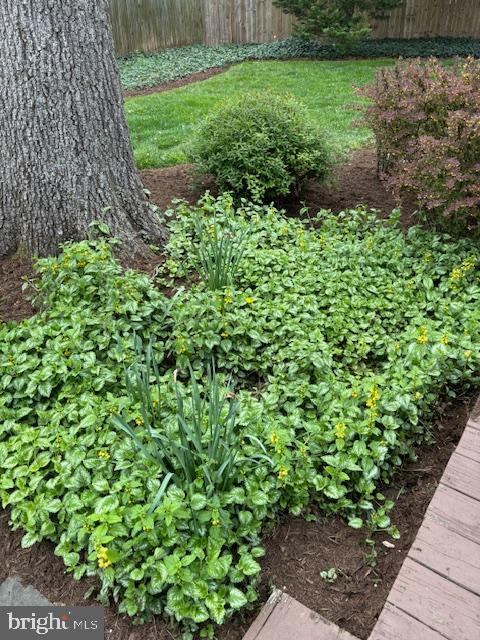 9348 Burke Road Burke, VA 22015 - Photo 40 of 55 Gallery Image 40