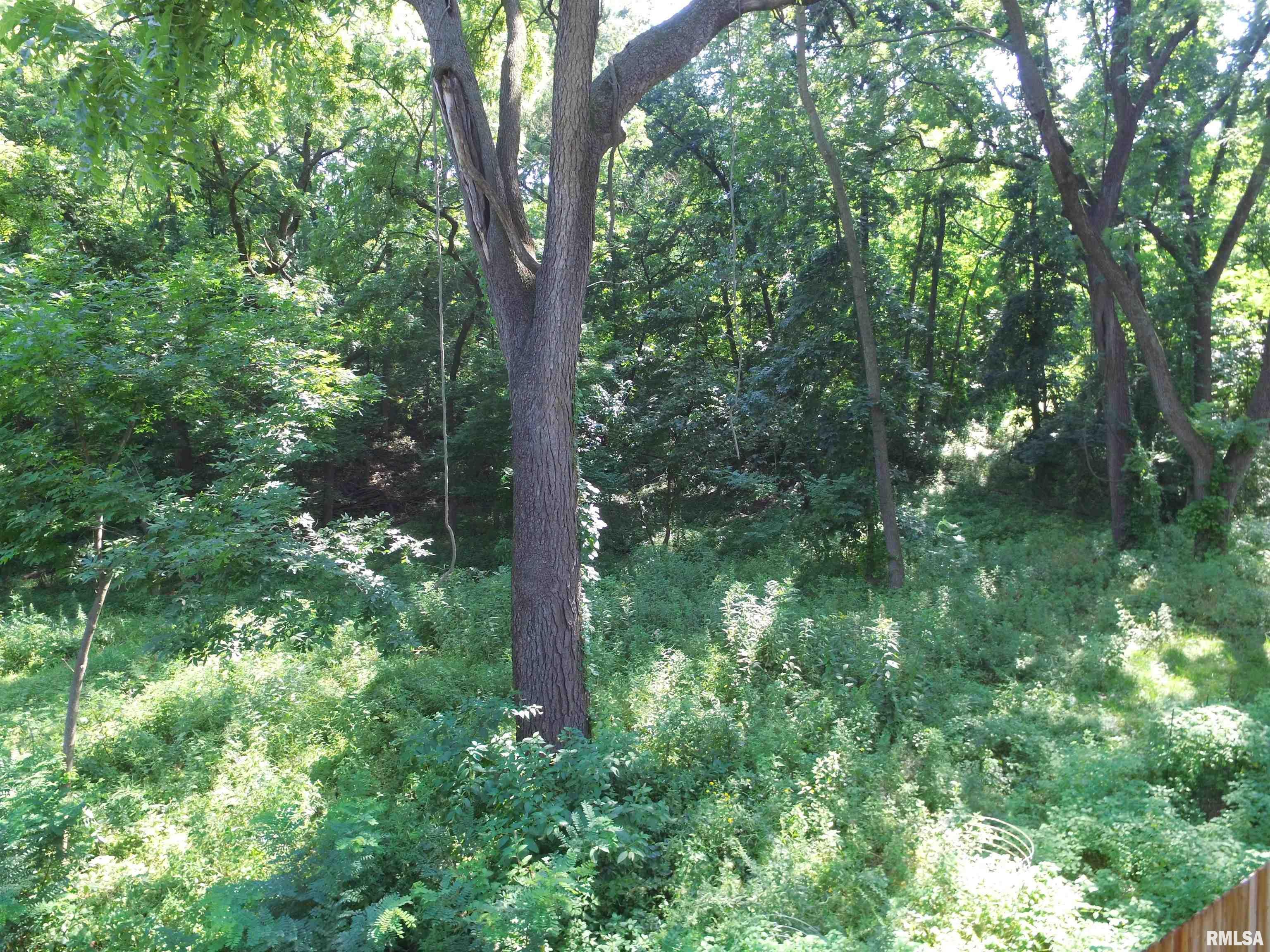 1004 34th Street Moline, IL 61265 - Photo 12 of 21