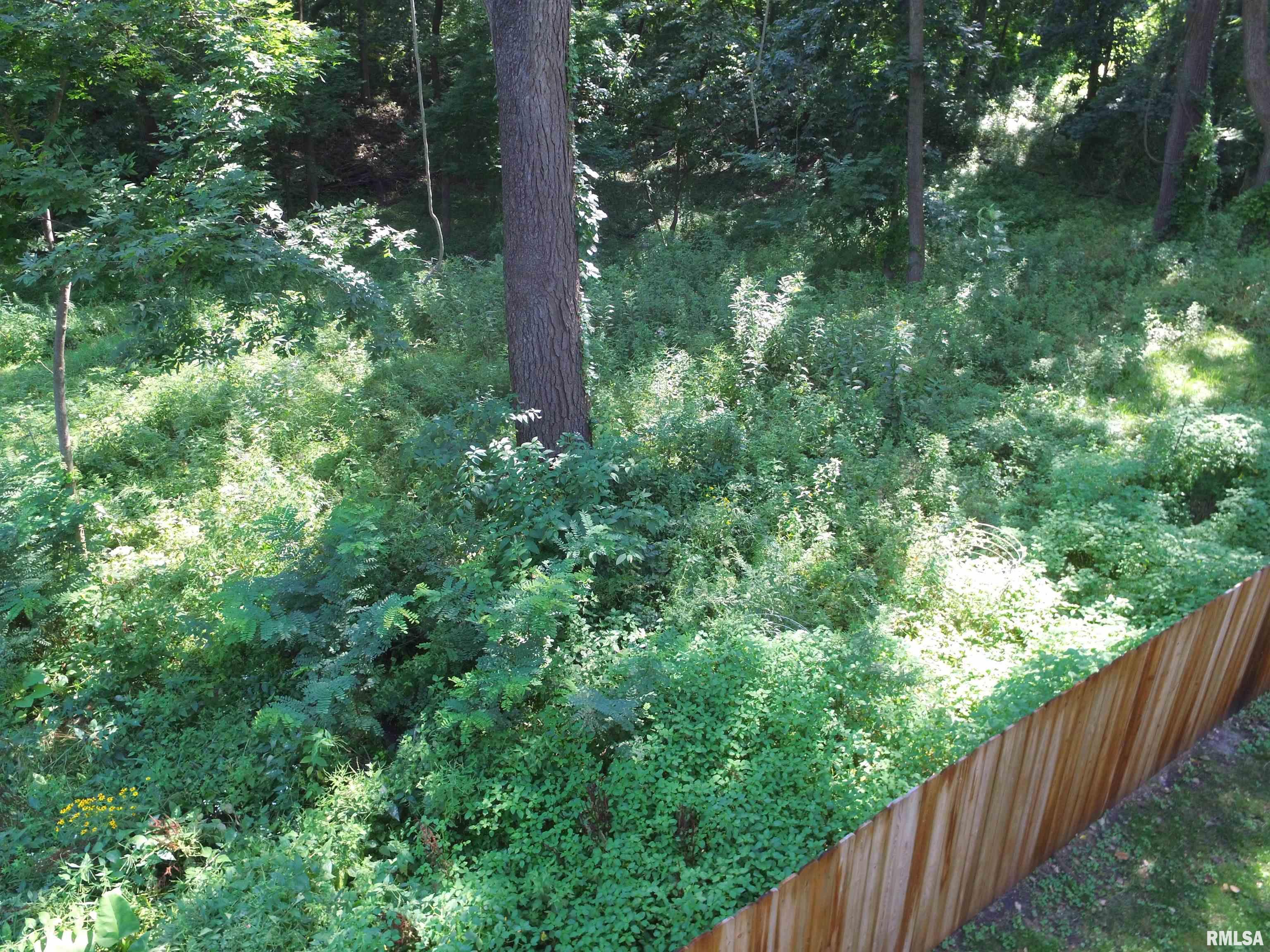 1004 34th Street Moline, IL 61265 - Photo 2 of 21