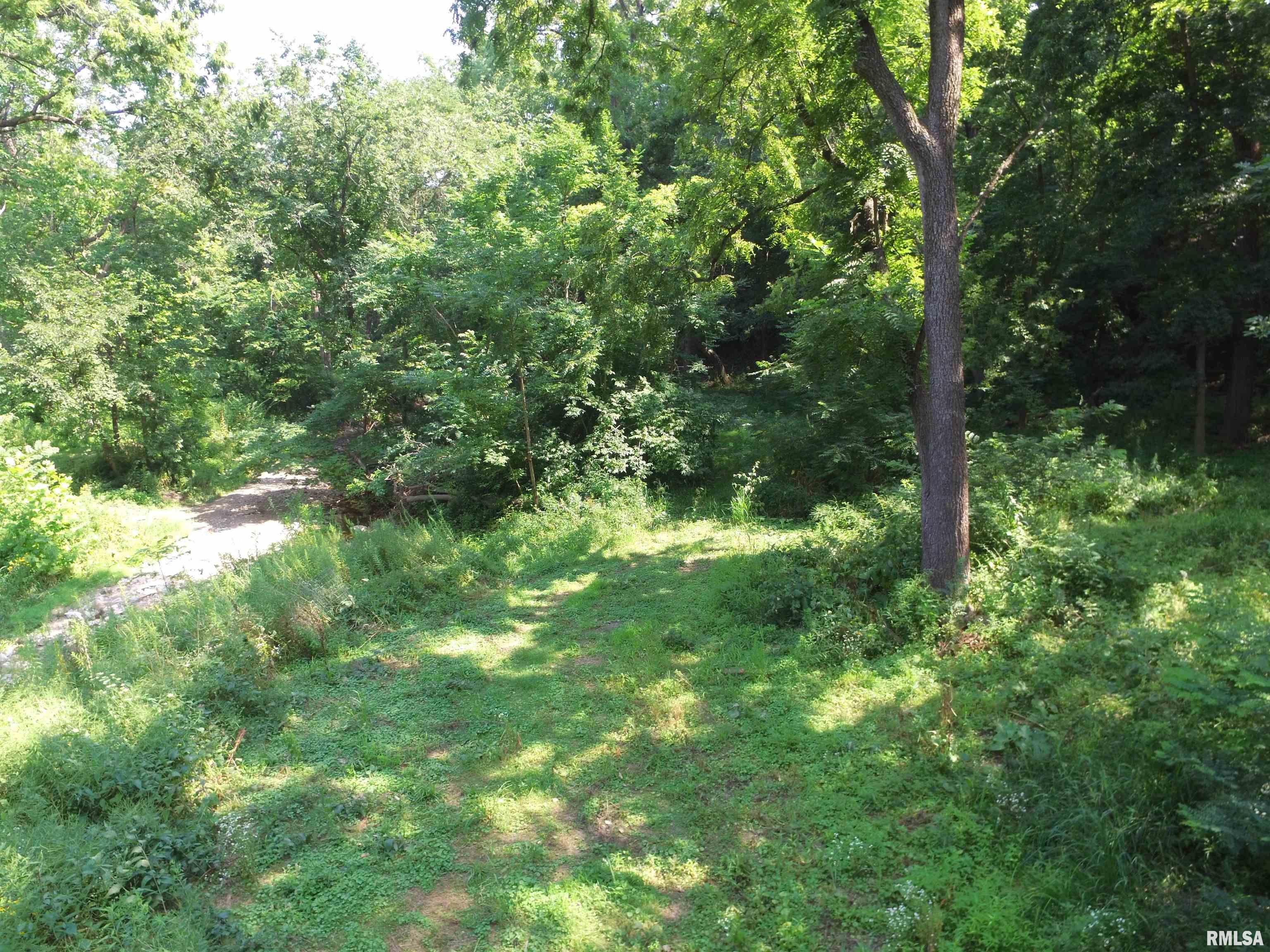 1004 34th Street Moline, IL 61265 - Photo 5 of 21