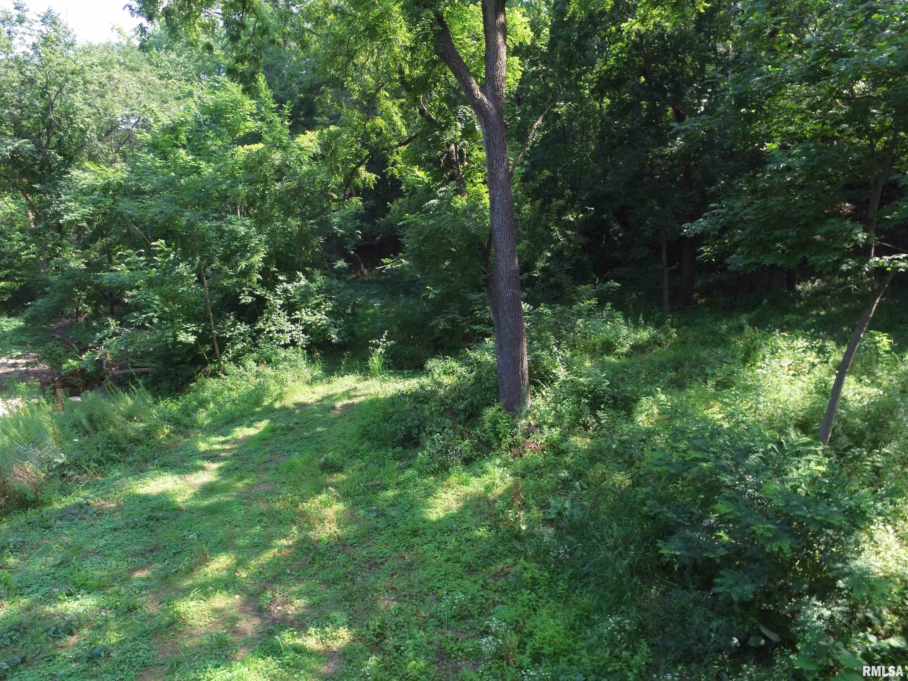 1004 34th Street Moline, IL 61265 - Photo 6 of 21