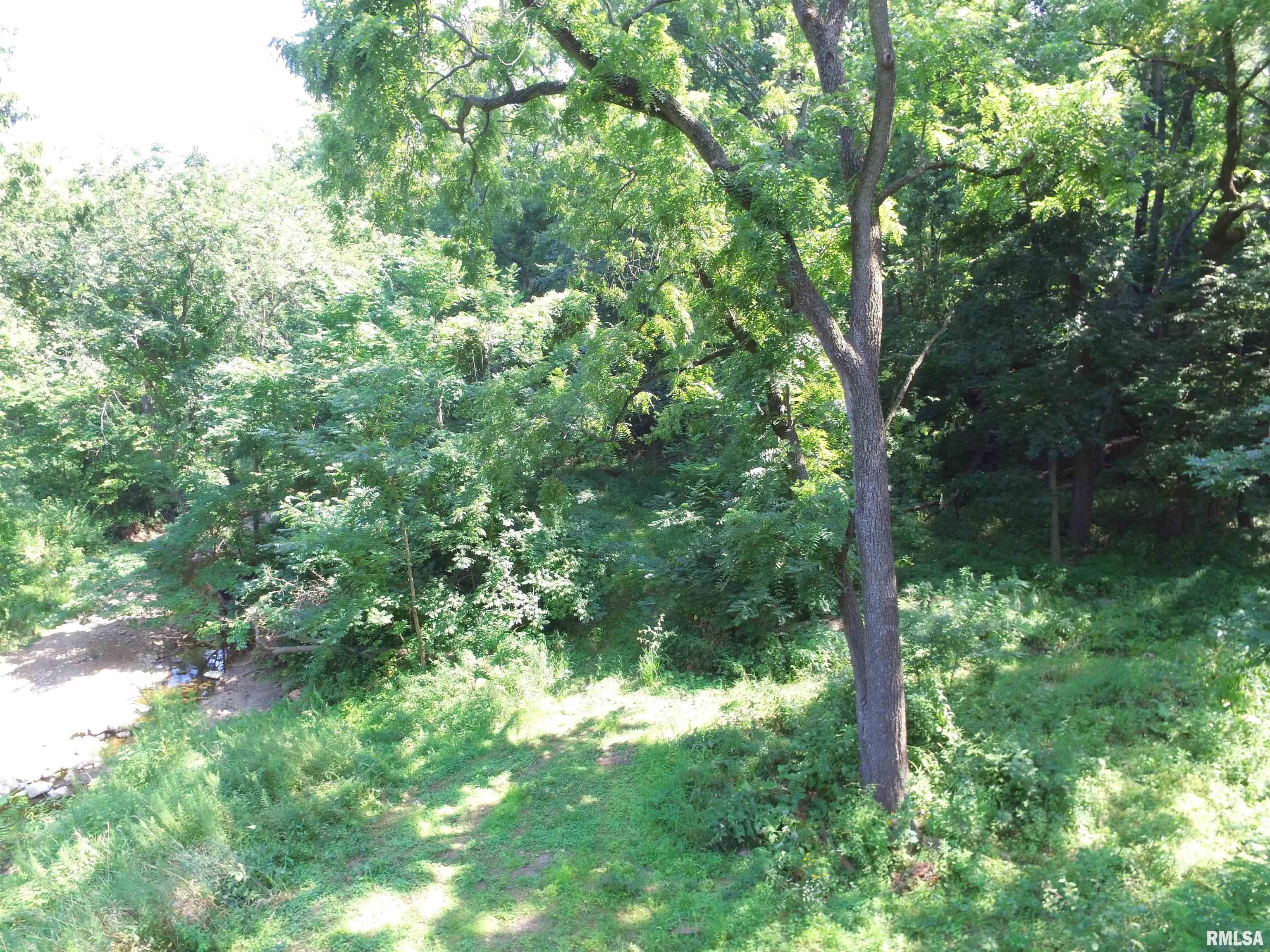 1004 34th Street Moline, IL 61265 - Photo 9 of 21