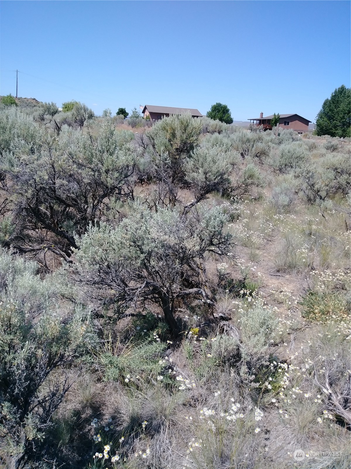 0 Lot 20 Snaffle Court Ephrata, WA 98823 - Photo 4 of 40