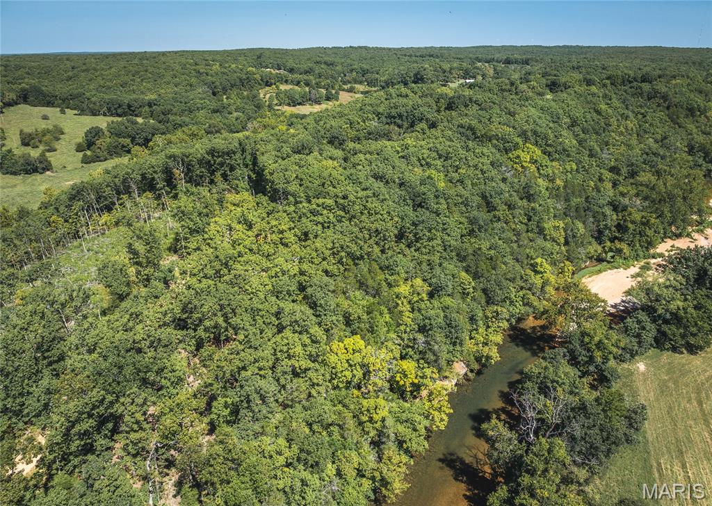 86 Klein Cut-Off Road Steelville, MO 65565 - Photo 2 of 33 Gallery Image 2
