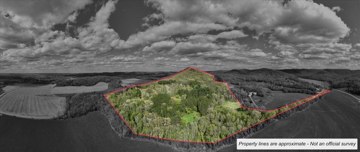 N2487 Nuttleman Road Barre, WI 54601 - Photo 3 of 91 296-drone lines