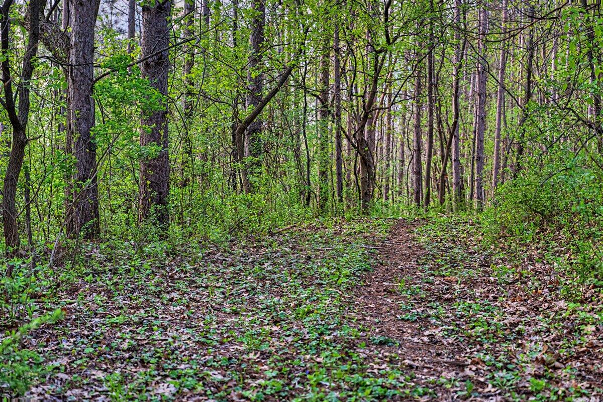 N2487 Nuttleman Road Barre, WI 54601 - Photo 68 of 91 229-123056549 - Copy