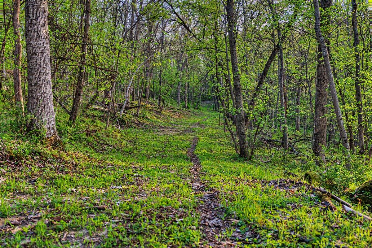 N2487 Nuttleman Road Barre, WI 54601 - Photo 75 of 91 279-123056714