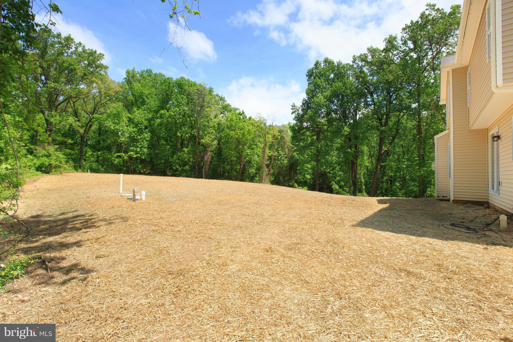 500 Teak Road Crownsville, MD 21032 - Photo 4 of 29 Exterior (Rear)