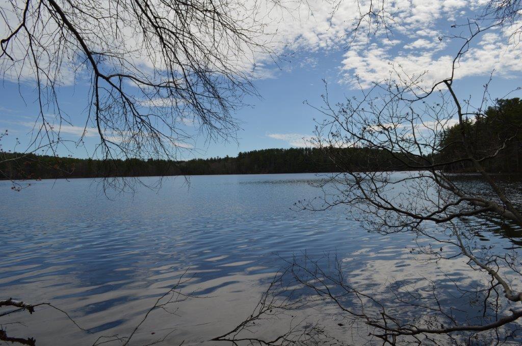 54 Ward Road North Monmouth, ME 04265 - Photo 5 of 16 Photo