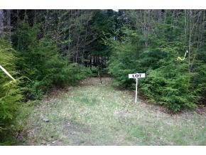 82 Baird Road Stowe, VT 05672 - Photo 3 of 10 Gallery Image 3