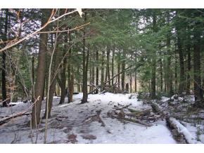 82 Baird Road Stowe, VT 05672 - Photo 7 of 10 Gallery Image 7
