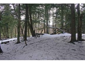82 Baird Road Stowe, VT 05672 - Photo 8 of 10 Gallery Image 8