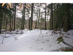 82 Baird Road Stowe, VT 05672 - Photo 9 of 10 Gallery Image 9