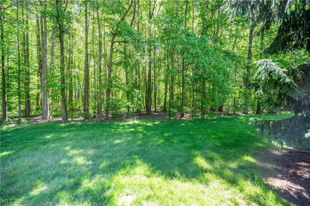 9114 Inverrary Warren, OH 44484 - Photo 44 of 49