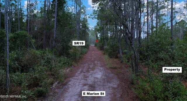 a view of residential house and tree