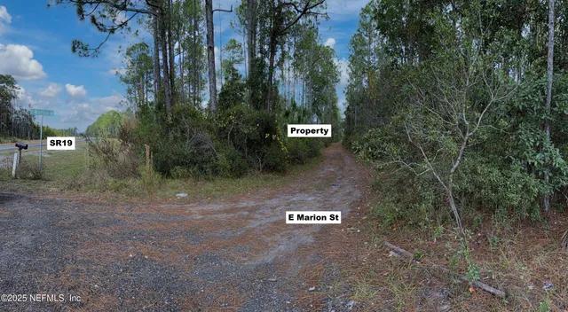 a bird view of a house