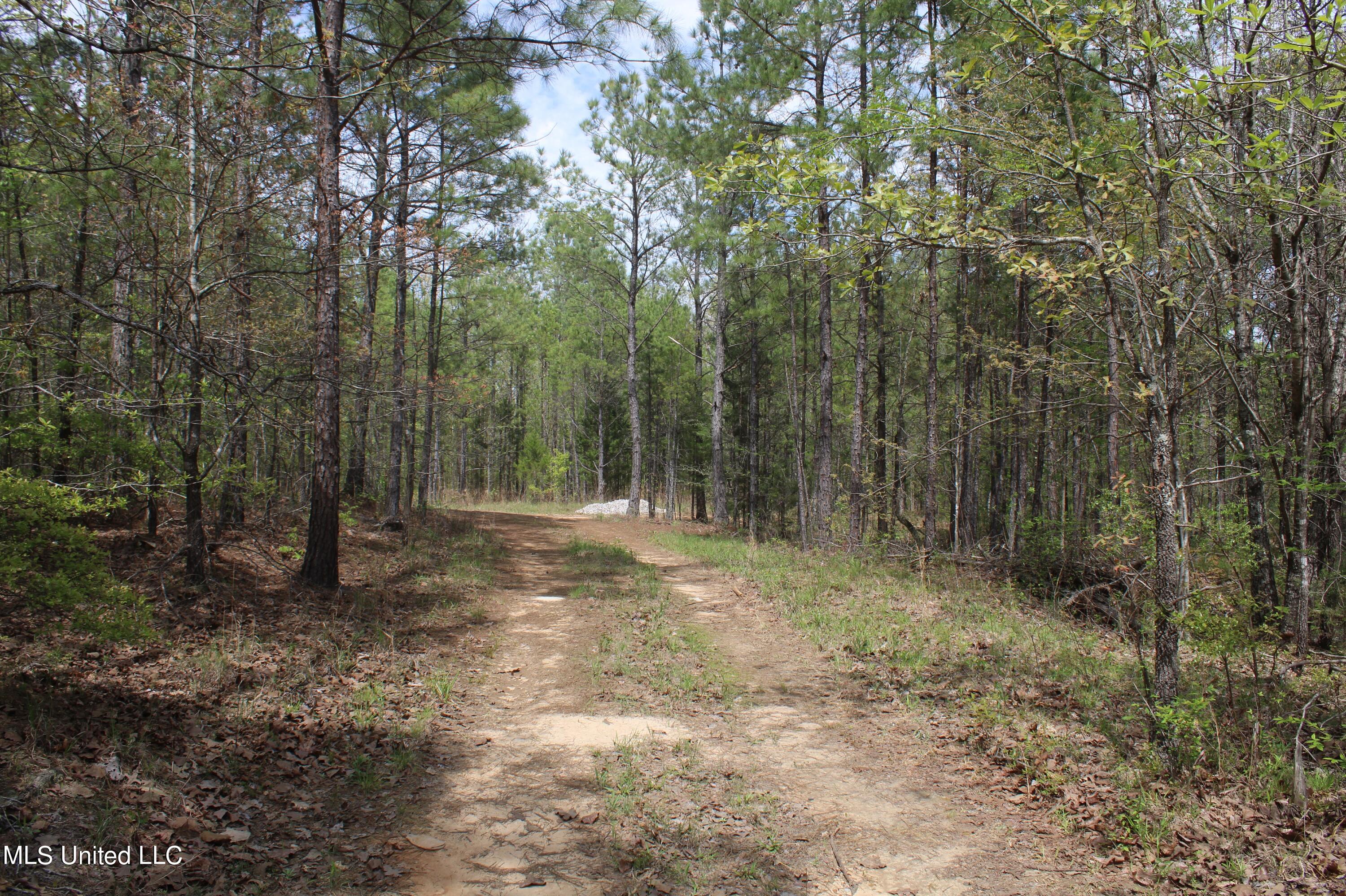 5200 Blackjack Road Ashland, MS 38603 - Photo 1 of 49 land