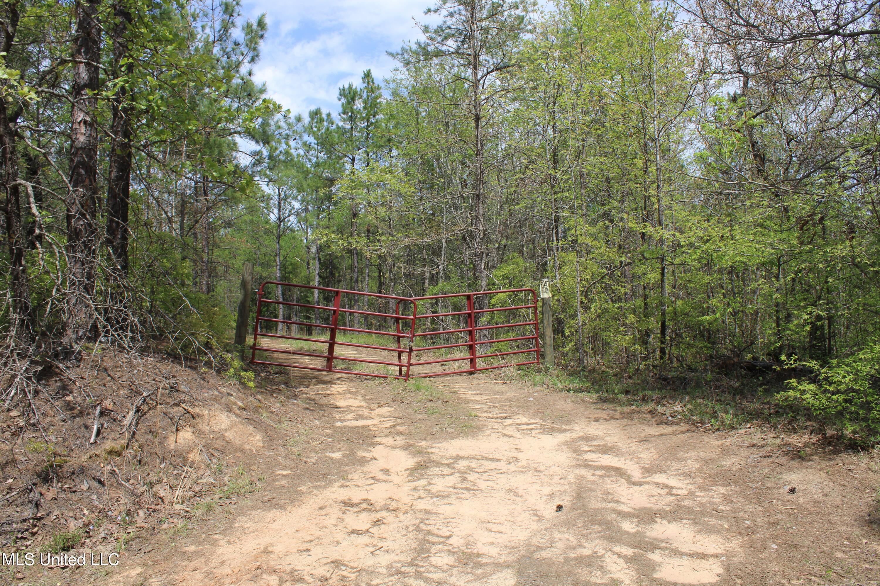 5200 Blackjack Road Ashland, MS 38603 - Photo 12 of 49 IMG_3661