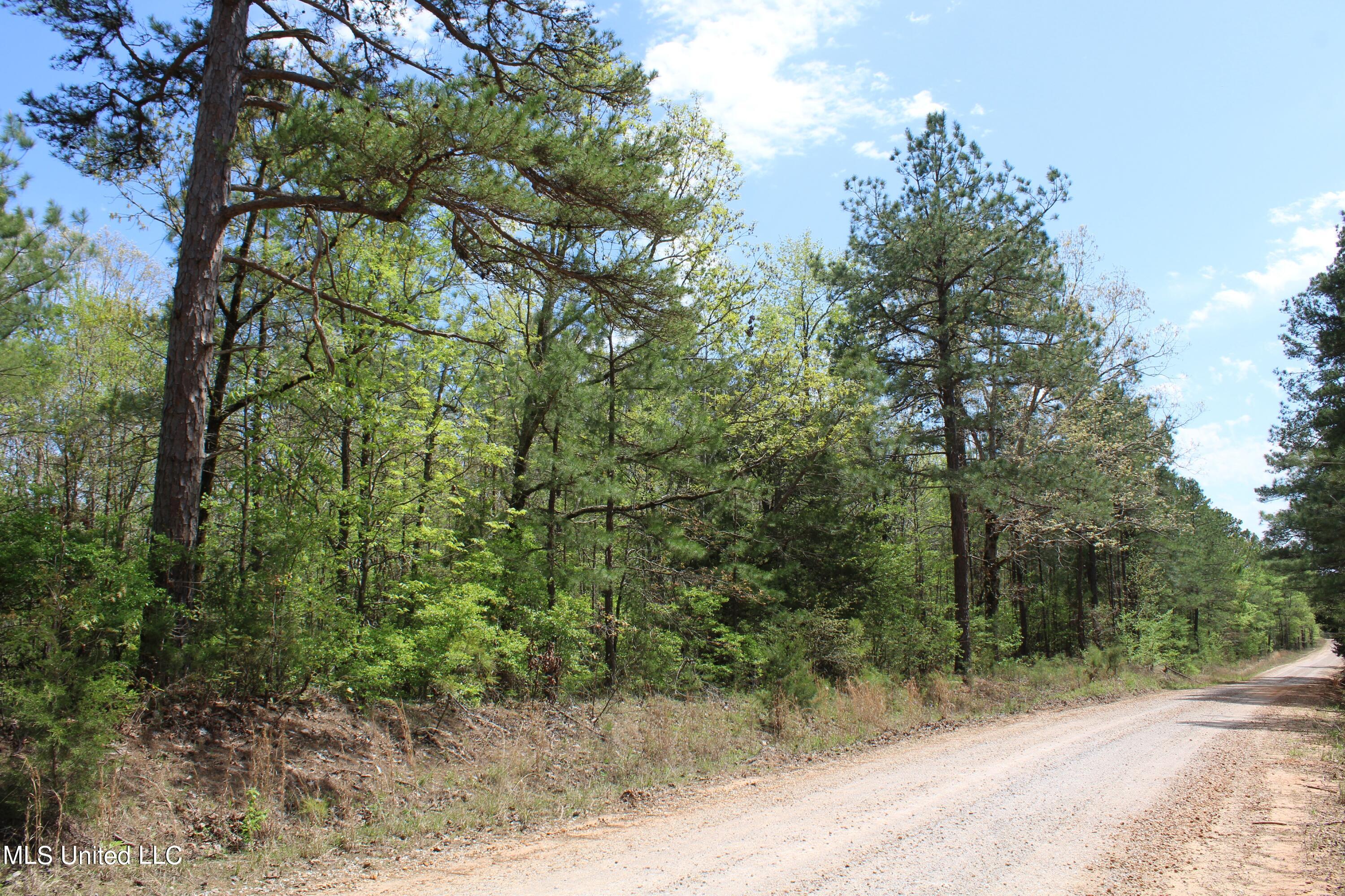 5200 Blackjack Road Ashland, MS 38603 - Photo 13 of 49 IMG_3662