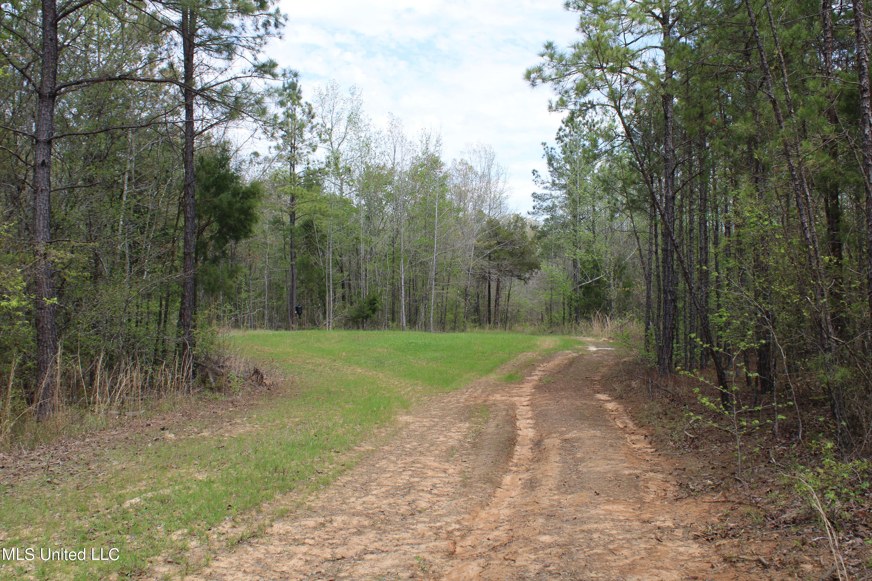 5200 Blackjack Road Ashland, MS 38603 - Photo 17 of 49 IMG_3674