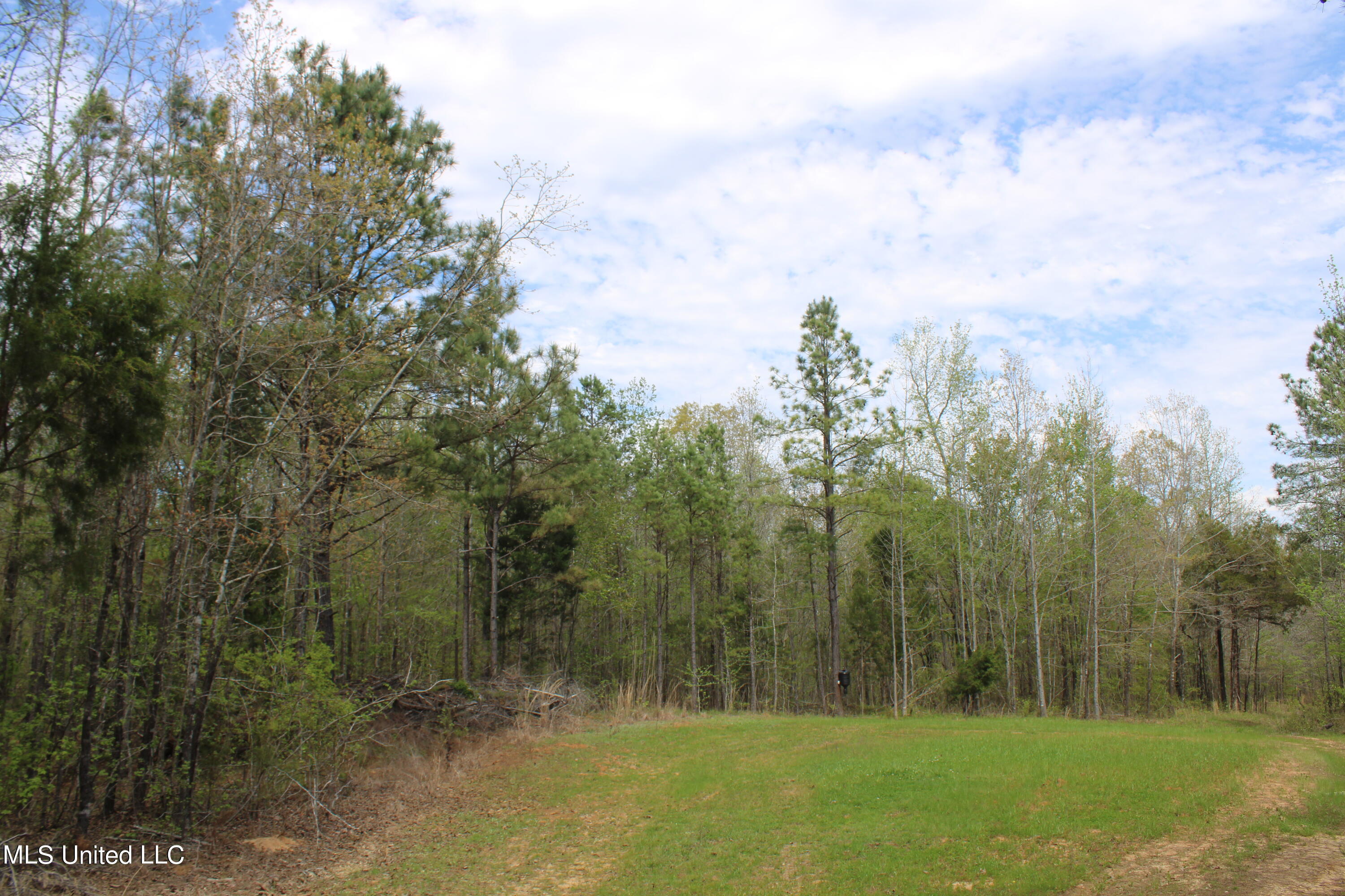 5200 Blackjack Road Ashland, MS 38603 - Photo 18 of 49 IMG_3676