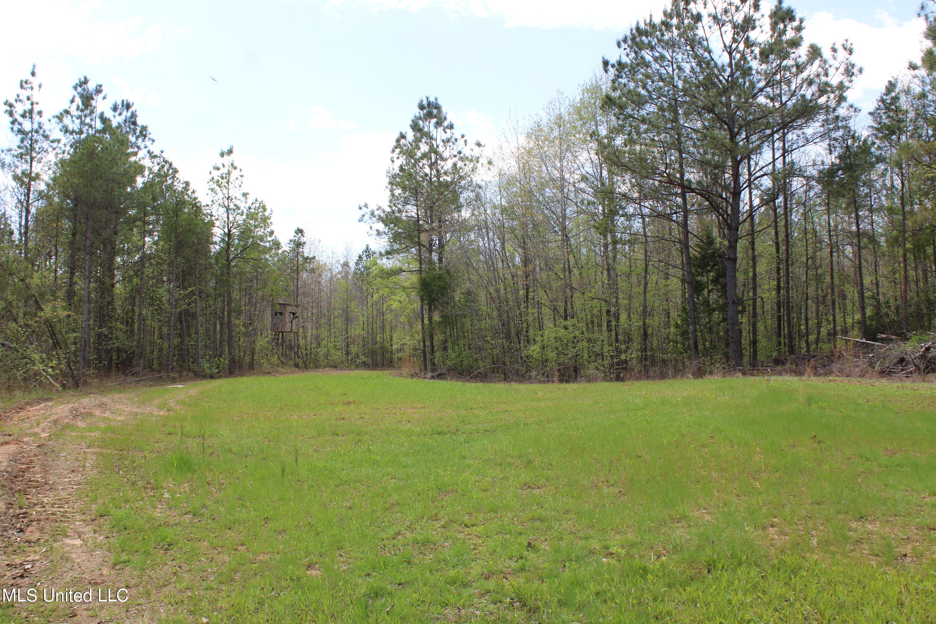 5200 Blackjack Road Ashland, MS 38603 - Photo 19 of 49 IMG_3677