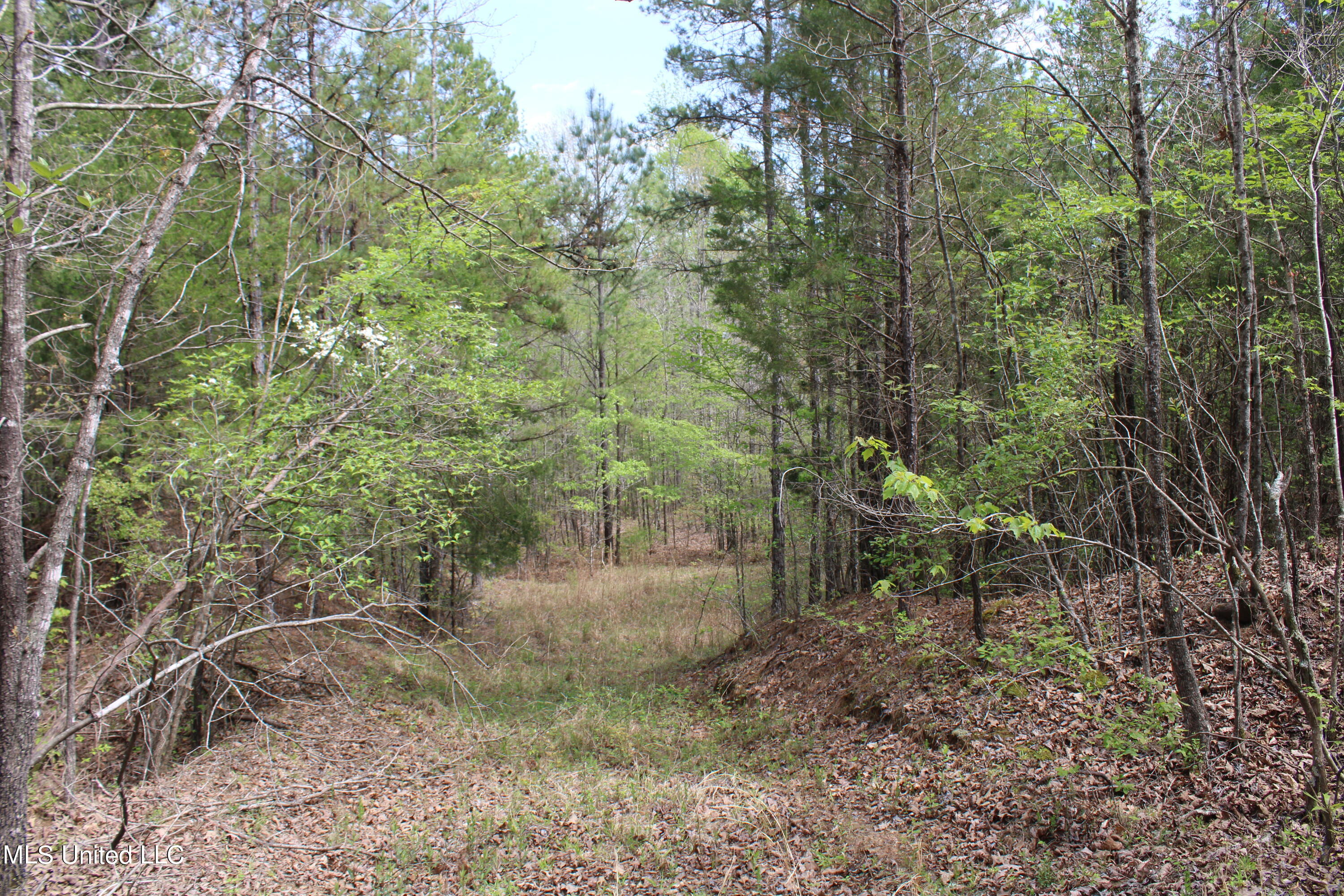 5200 Blackjack Road Ashland, MS 38603 - Photo 20 of 49 IMG_3679