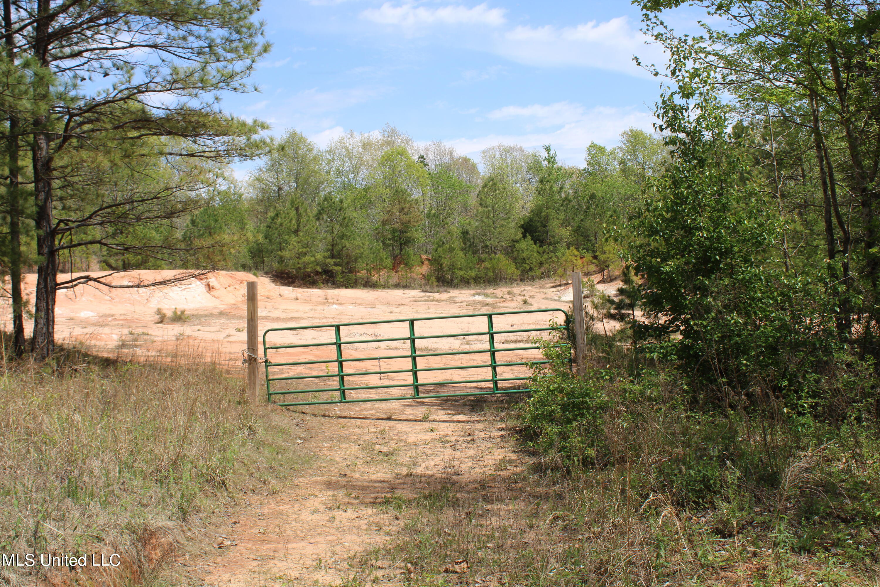 5200 Blackjack Road Ashland, MS 38603 - Photo 2 of 49 IMG_3651
