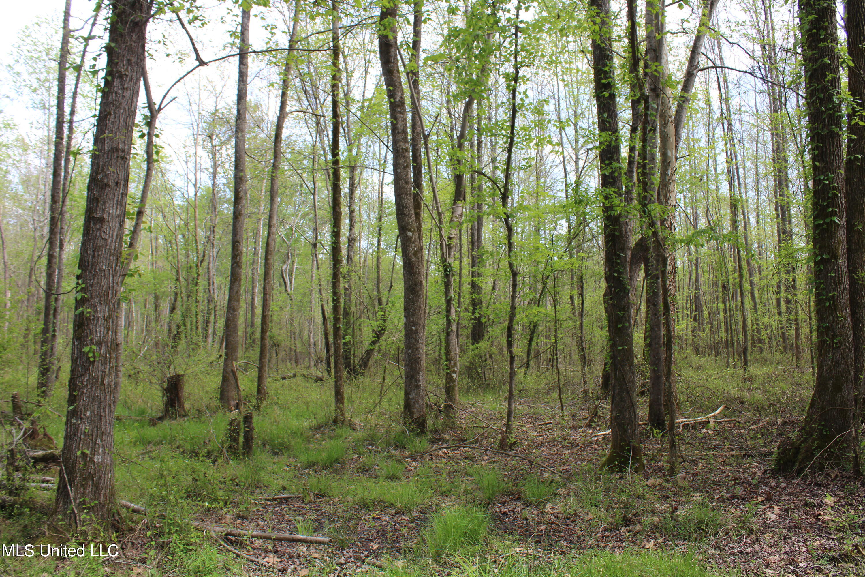 5200 Blackjack Road Ashland, MS 38603 - Photo 24 of 49 IMG_3687
