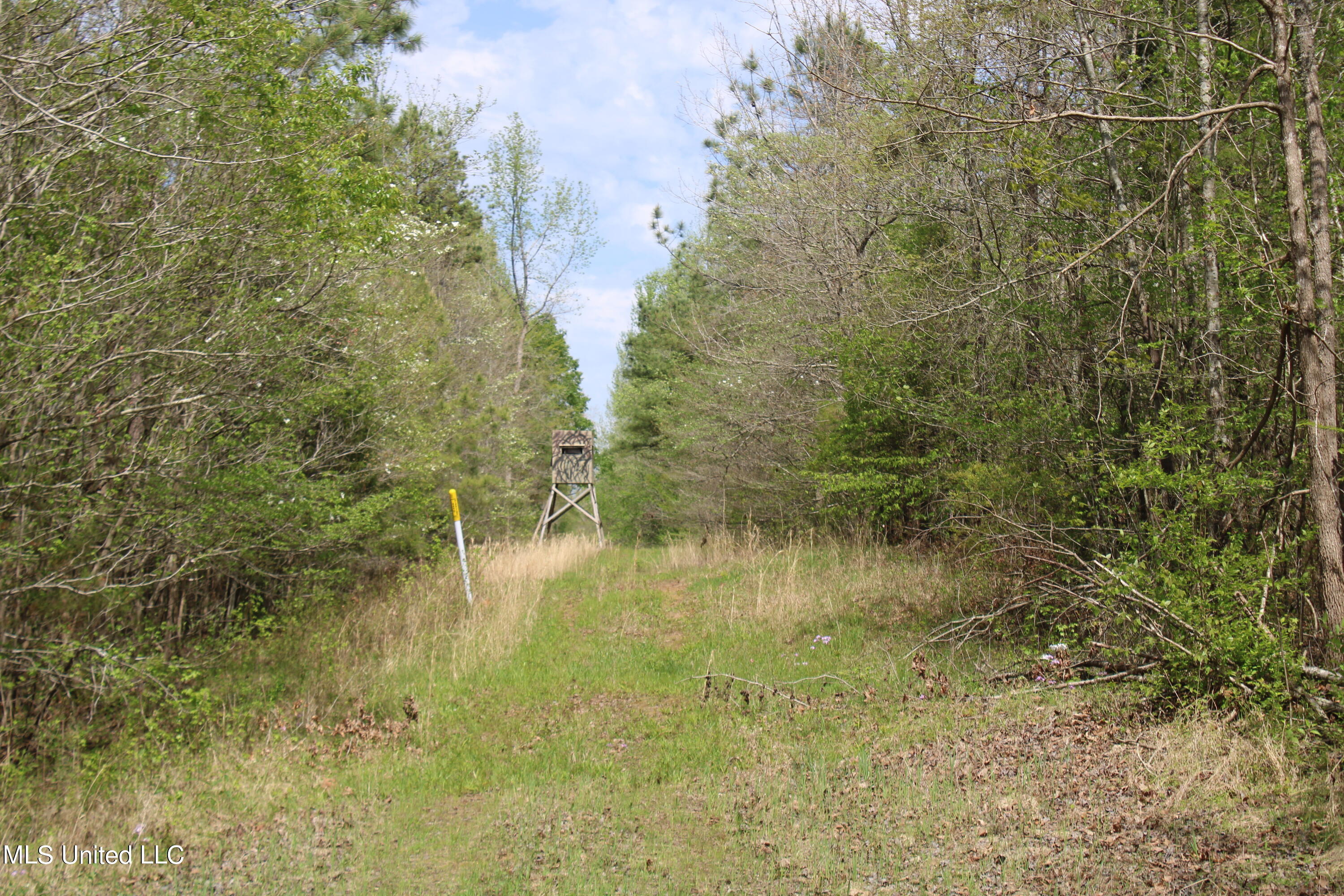 5200 Blackjack Road Ashland, MS 38603 - Photo 27 of 49 IMG_3691