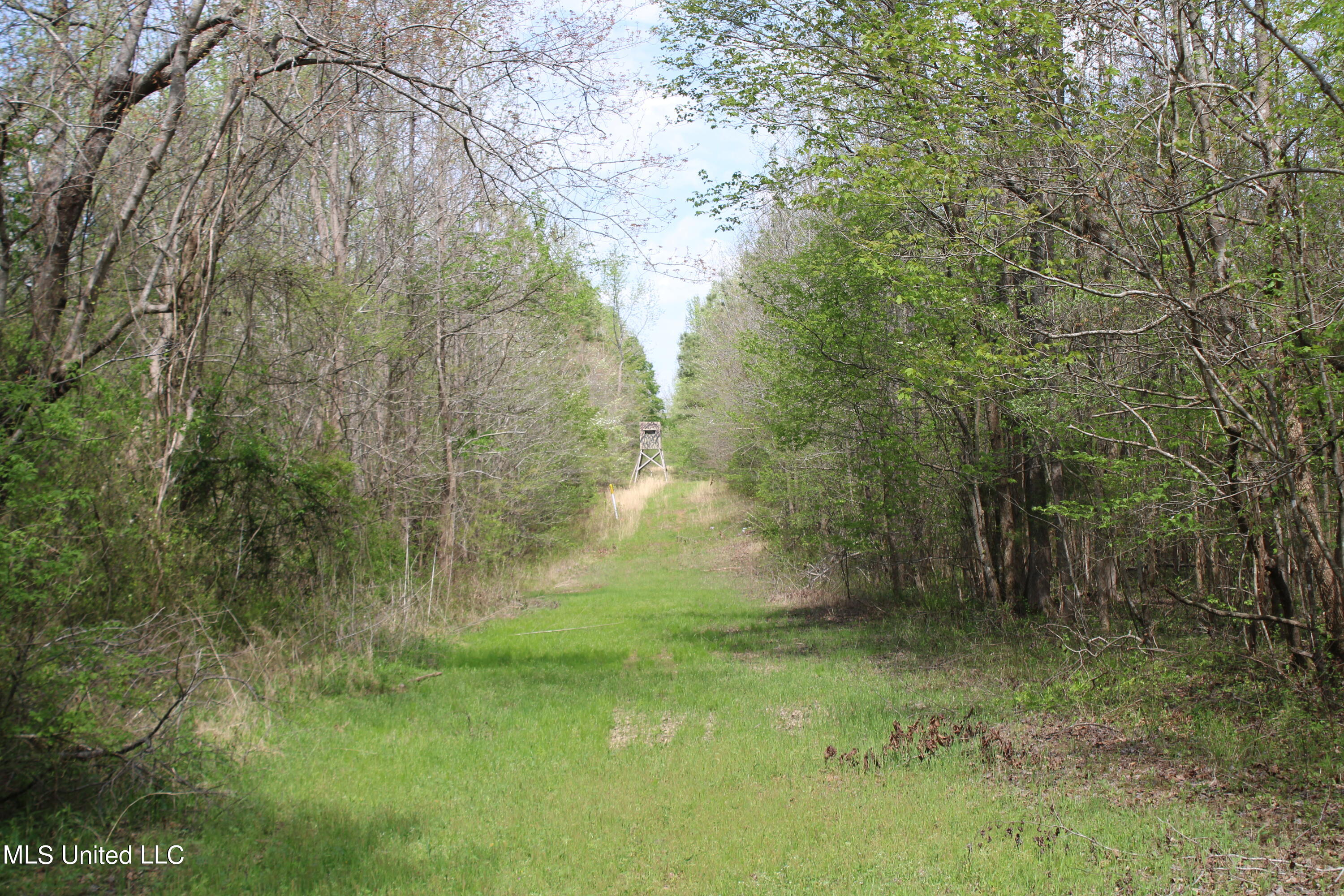 5200 Blackjack Road Ashland, MS 38603 - Photo 29 of 49 IMG_3695