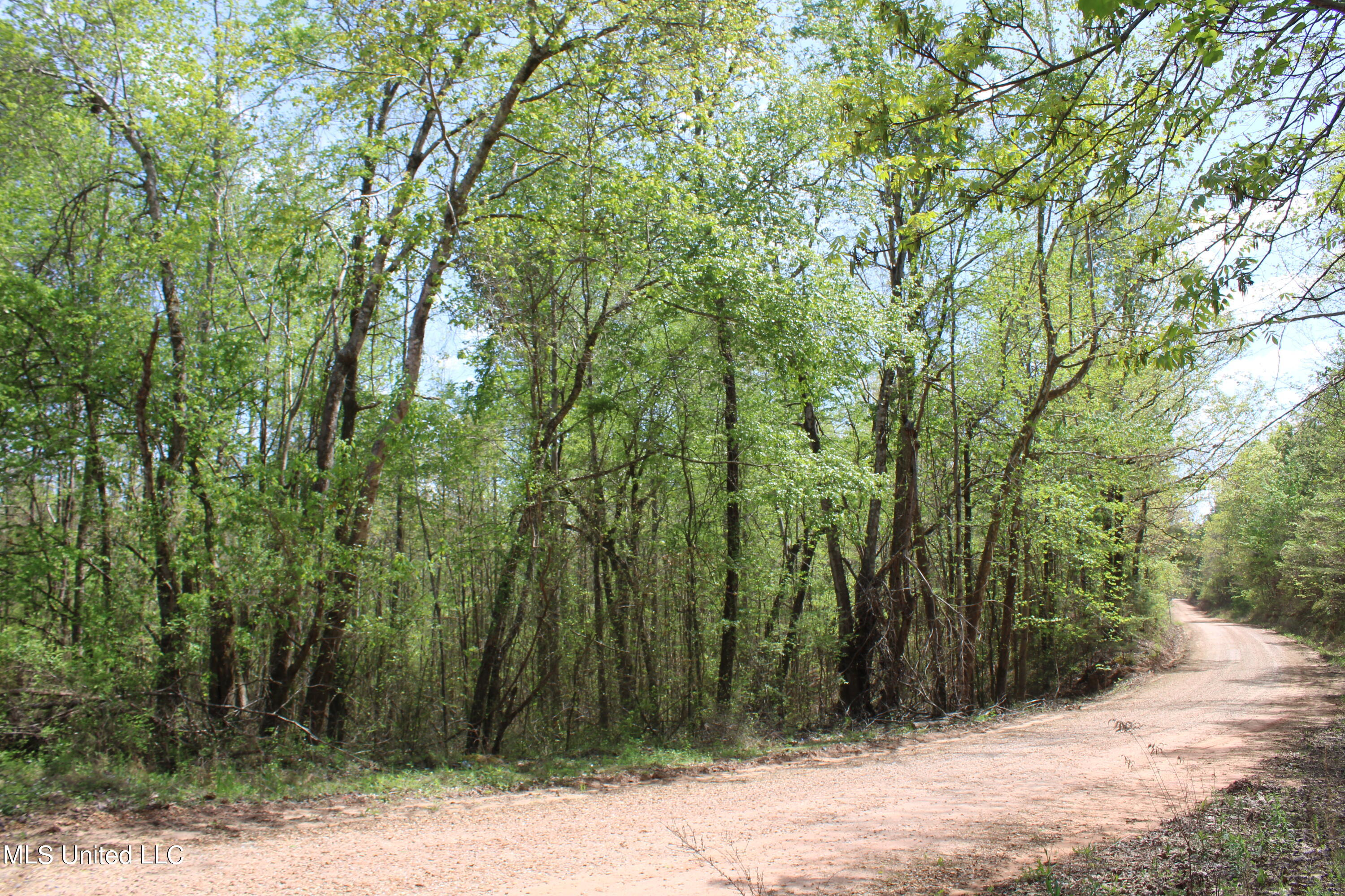 5200 Blackjack Road Ashland, MS 38603 - Photo 3 of 49 IMG_3652
