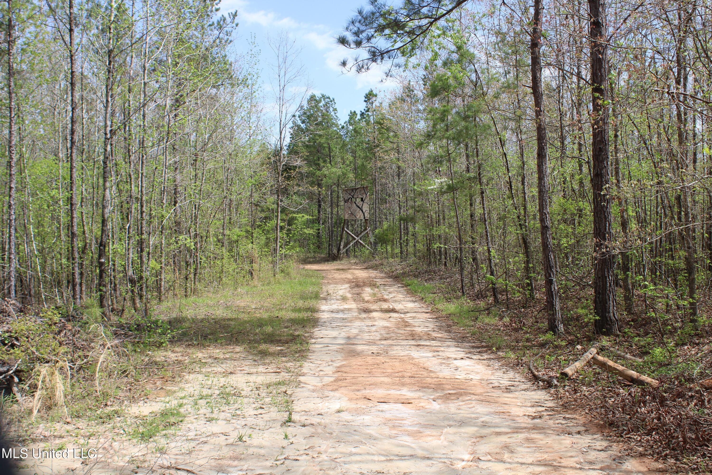 5200 Blackjack Road Ashland, MS 38603 - Photo 38 of 49 IMG_3673